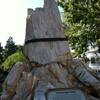 '11/09/11 2日目：アメリカの古ーーーい巨木の化石らしい。